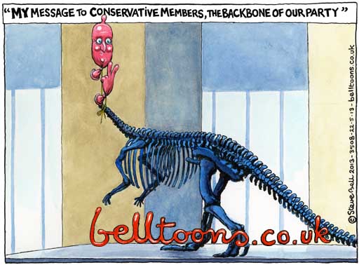 3508-220513_TORYBACKBONE