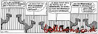 2590-29-1-91 DEPORTCAMEL