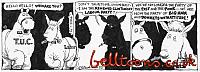 3104-14-1-93 CARTHORSES