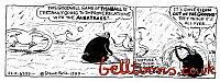 4539-22-7-99 FALKLANDSFISHBALL