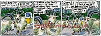 8164-200420 GOATBADGES