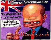 1475-12-7-00 TORYBOYTAX