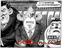 1740-28-3-02 BLAIRMONKEY
