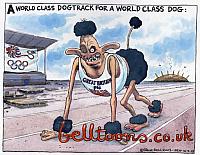 1924-16-5-03 WORLDCLASSDOG