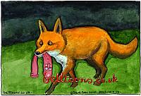3849-150715 FOX+CONDOM