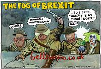 4053-271016 FOGOFBREXIT