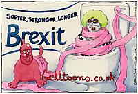 4141-150617 SOFTERBREXIT