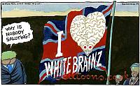 4464-190220 WHITEBRAINZ