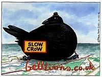 020809 RAMBLER10 SLOWCROW