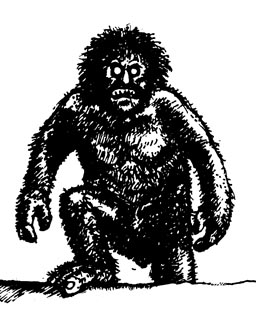 Bigfoot
